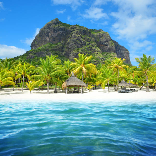 A peaceful white sand beach with turquoise water and palm trees in Mauritius