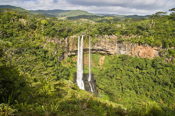 The Chamarel Waterfall cascading down a cliff surrounded by green forest