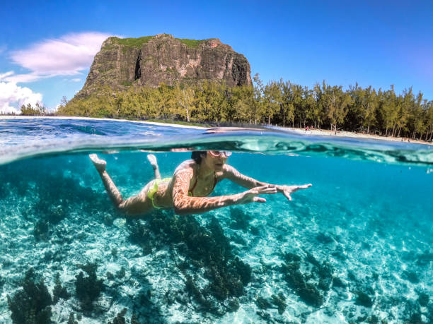 A person snorkelling in clear blue water with tropical fish in Mauritius
